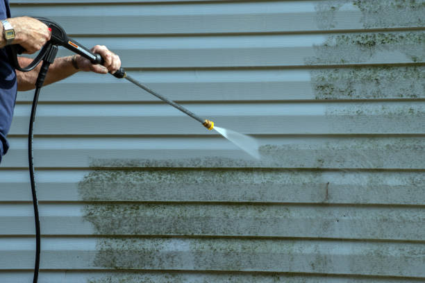 Best Driveway Pressure Washing  in Marshall, IL
