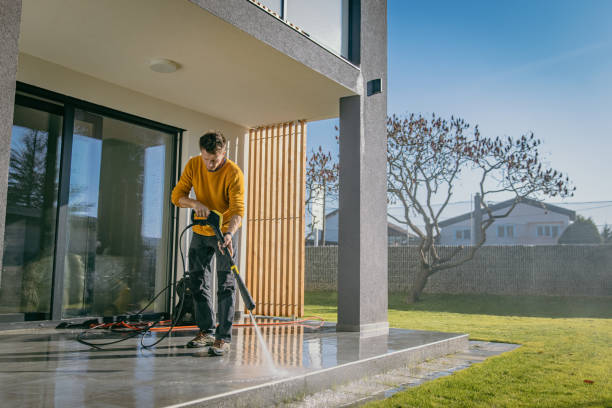 Best Pre-Holiday Cleaning  in Marshall, IL