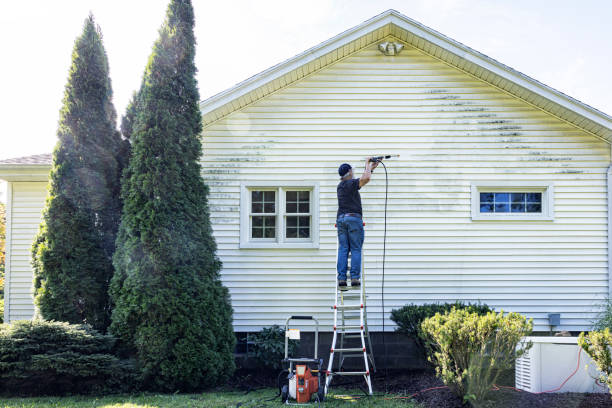 Pre-Holiday Cleaning in Marshall, IL